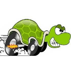 Team-Turtle-Racing